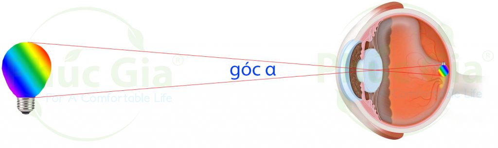 Hinh_Anh_Qua_Mat