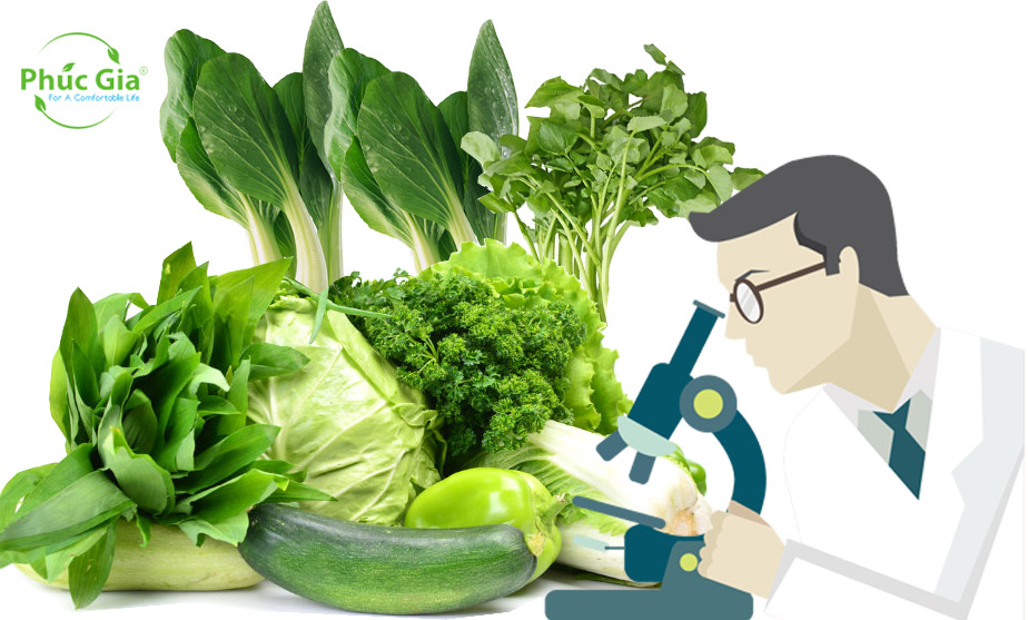 09 Chi Cục Kiểm Dịch Thực Vật Vùng