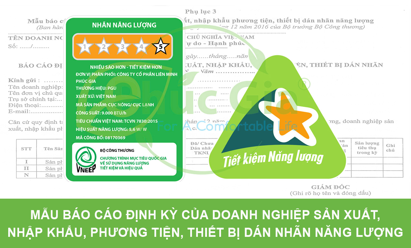 Mẫu Báo Cáo Định Kỳ Của Doanh Nghiệp Sản Xuất, Nhập Khẩu, Phương Tiện, Thiết Bị Dán Nhãn Năng Lượng